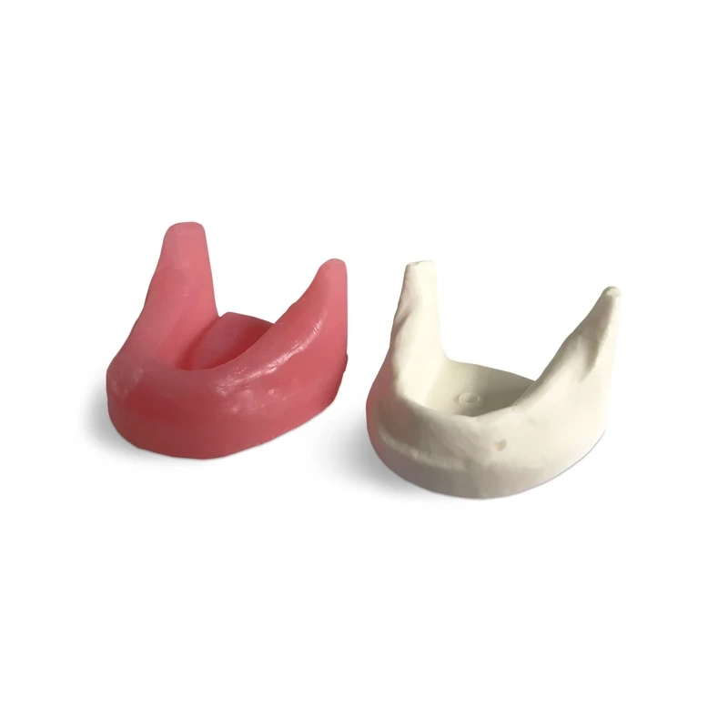 E81G – модель нижней челюсти для практики установки имплантатов | GF Dental (Италия)