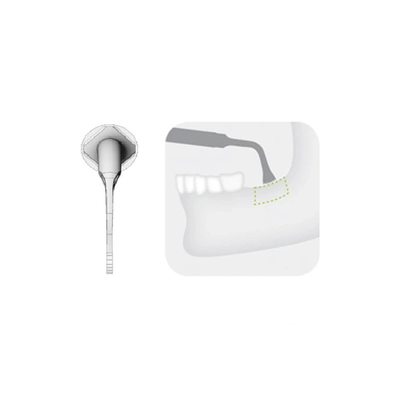 B1 - насадка для аппарата Piezomed, пилка для кости | W&H DentalWerk (Австрия)